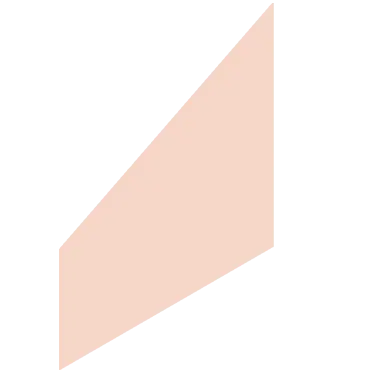 Insitu Architecture Studio - Consulting