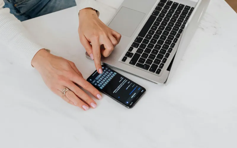 Insitu Architecture Studio - Transparence